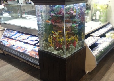 Custom acrylic aquarium(2)