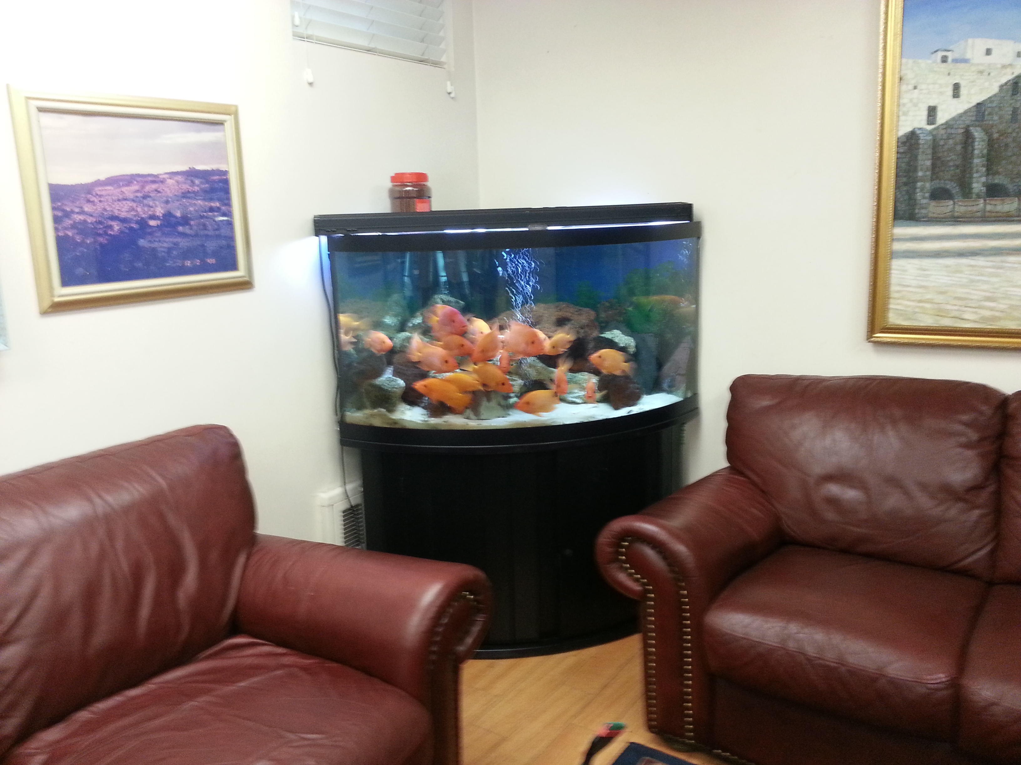 21 Delightful Fish Tank In Living Room Lentine Marine