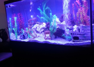 Living room fishtank(2)